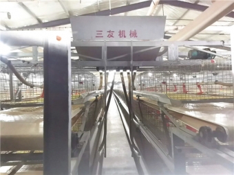 自動喂料系統